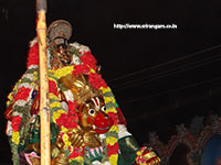 Srirangam Renganathar Kudhiri (Horse) Vaganam Photos