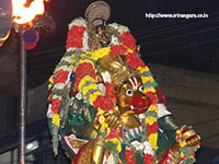 Srirangam Renganathar Kudhiri (Horse) Vaganam Photos