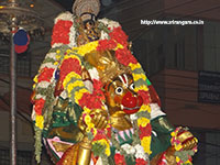 Srirangam Renganathar Kudhiri (Horse) Vaganam Photos