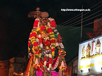 Srirangam Renganathar Kudhiri (Horse) Vaganam Photos