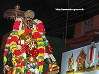 Srirangam Renganathar Kudhiri (Horse) Vaganam Photos