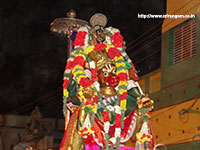 Srirangam Renganathar Kudhiri (Horse) Vaganam Photos