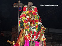 Srirangam Renganathar Kudhiri (Horse) Vaganam Photos