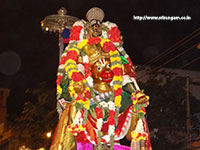 Srirangam Renganathar Kudhiri (Horse) Vaganam Photos