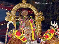 Srirangam RenganatharTheppam Photos