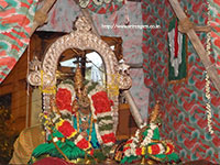 Srirangam Renganathar Panguni Uthiram 2014 Photos