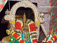 Srirangam Renganathar Panguni Uthiram 2014 Photos