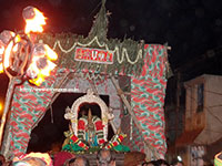 Srirangam Renganathar Panguni Uthiram 2014 Photos