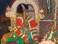 Srirangam Renganathar Panguni Uthiram 2014 Photos