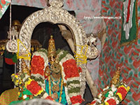 Srirangam Renganathar Panguni Uthiram 2014 Photos