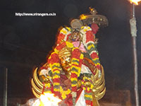 Srirangam Renganathar Garudalvar Vaganam