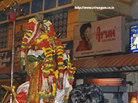 Srirangam Renganathar Garudalvar Vaganam