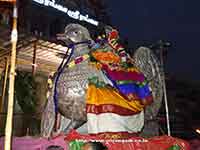 Srirangam Renganathar Theppam Hamsha Vahanam 2016 Photos