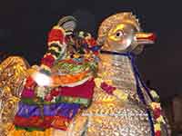 Srirangam Renganathar Theppam Hamsha Vahanam 2016 Photos