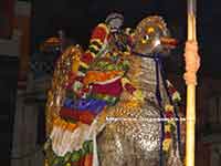 Srirangam Renganathar Theppam Hamsha Vahanam 2016 Photos