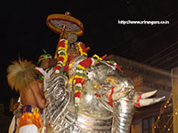 Srirangam Renganathar Garudalvar Vaganam