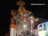 Srirangam Renganathar Garudalvar Vaganam