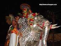 Srirangam Renganathar Garudalvar Vaganam